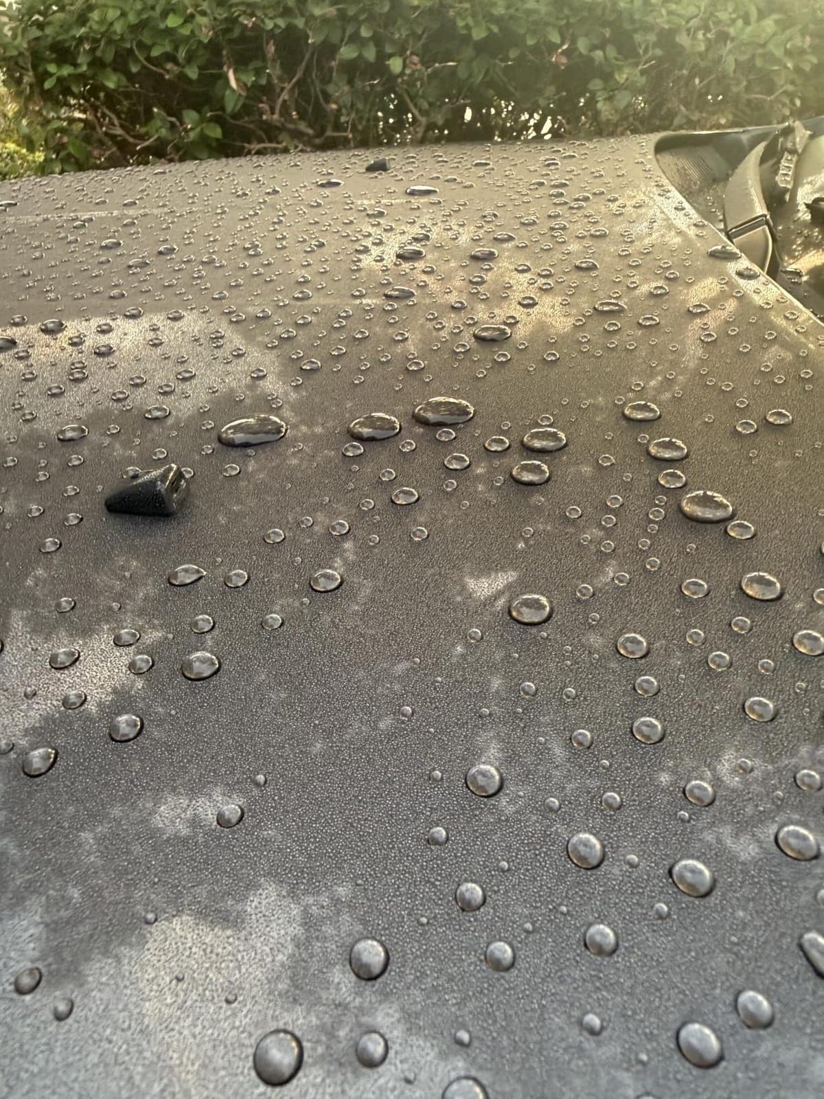 Griot’s Garage Ceramic 3-in-1 Wax, SiO2 Spray for Cars, Trucks, and RV’s, Provides Protection and Water Beading on Paint, Wheels, Plastic, Rubber Trim, Chrome, and More, 10978, 22 oz customer photo 2