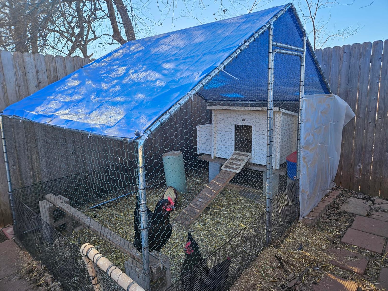 Sino Luban Large Metal Chicken Coop Run for 10 Chickens/Ducks, Chicken Runs for Yard with Waterproof Cover, Chicken Enclosure Chicken Pen Outdoor, Walk-in Poultry Cage (Upgrade Wall Support Brace) customer photo 1