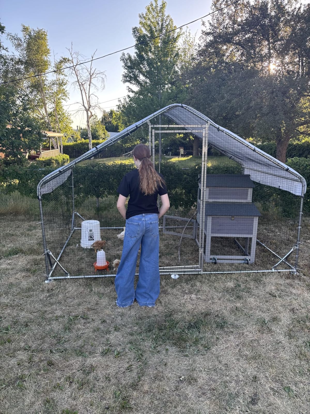 Walk-in Metal Chicken Coop 10x6.6 for 1-10 Chicken, Heavy Duty Poultry Cage customer photo 1