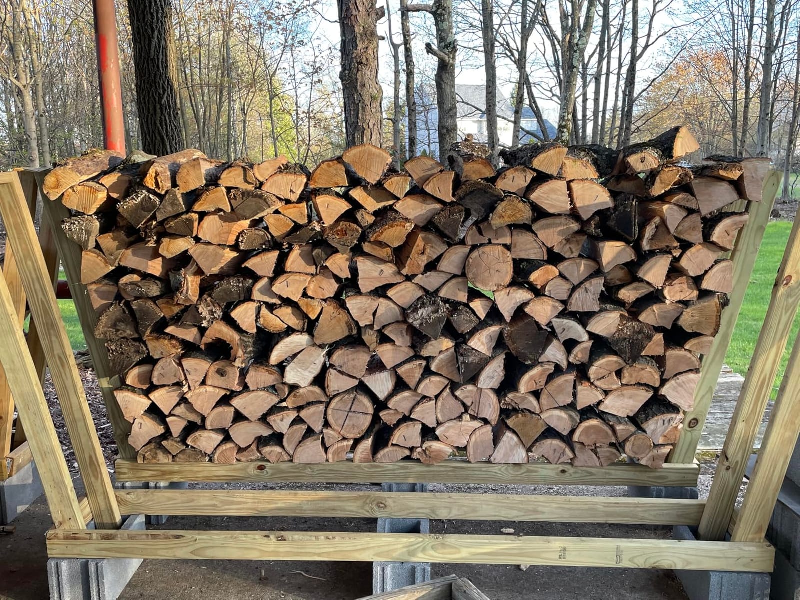 EGO POWER+ Chain Saw, 20” Battery Powered Chainsaw, Electric Cordless, Battery and Charger Not Included – CS2000 customer photo 2