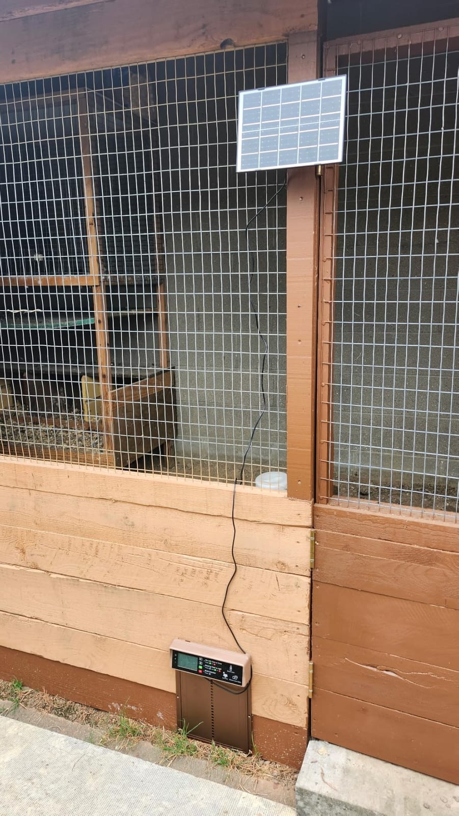 Asfrost Automatic Chicken Coop Door Solar Powered Automatic Chicken Door with Timer & Light Sensor, Anti-Pinch, Durable Aluminum Auto Chicken Door, Charge with 7W Solar Panel & USB - Orange customer photo 1