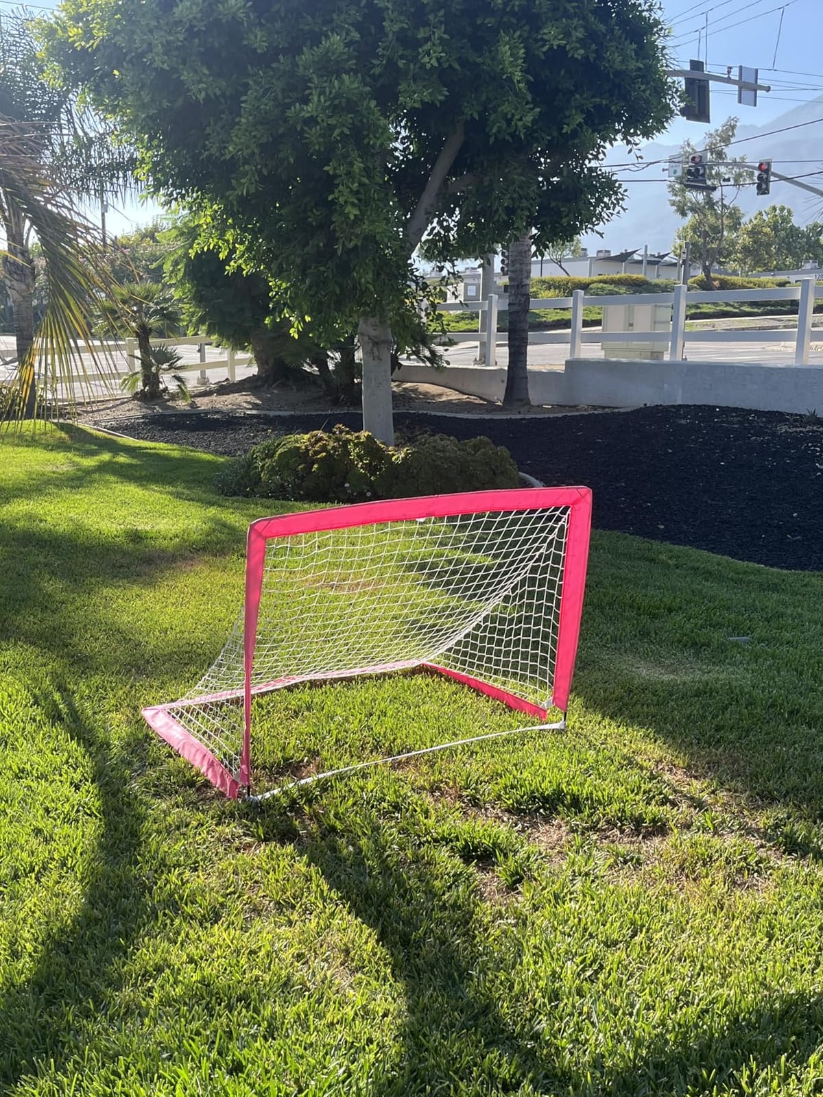 GoSports Portable Soccer Goals for Kids - 13 Color Options - Choose 4 x 3 ft or 6 x 4 ft - Team Tone Pop Up Nets for Backyard customer photo 1