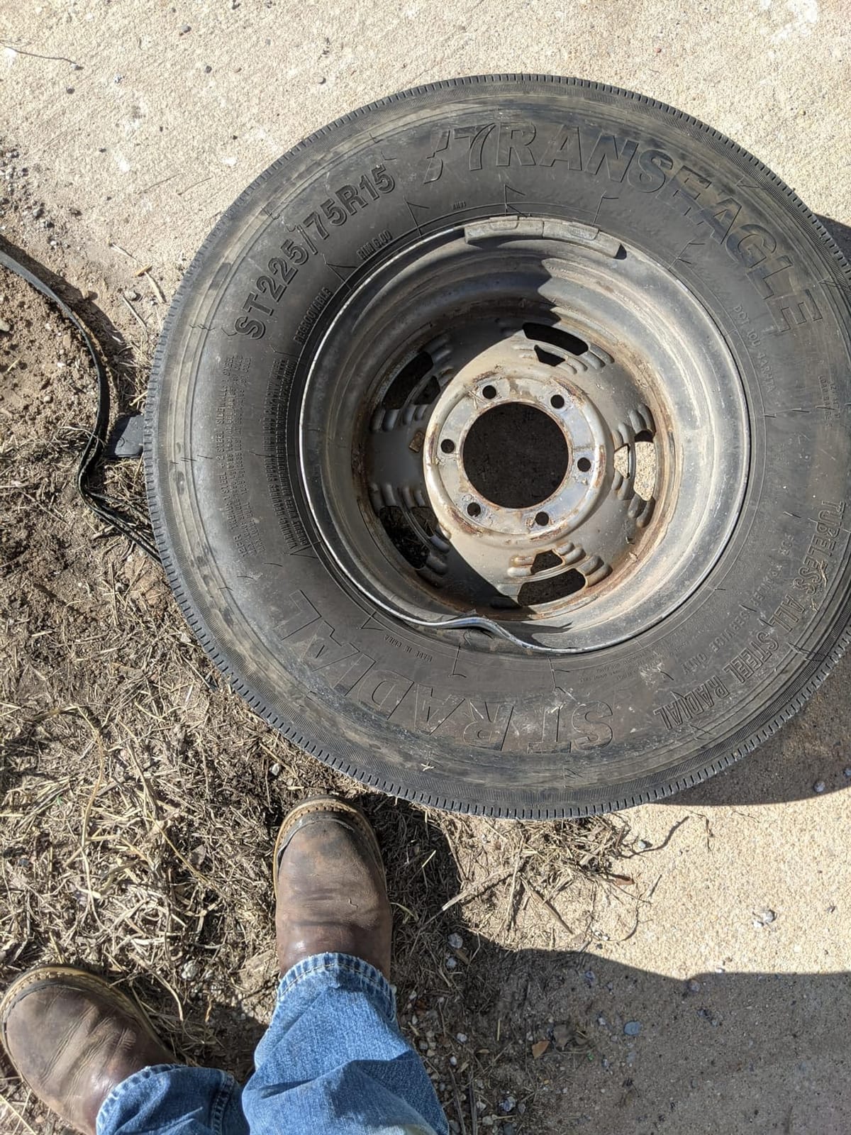 Transeagle ST ST225/75R15 123/119L All Season G (14 Ply) All Steel Tire customer photo 1