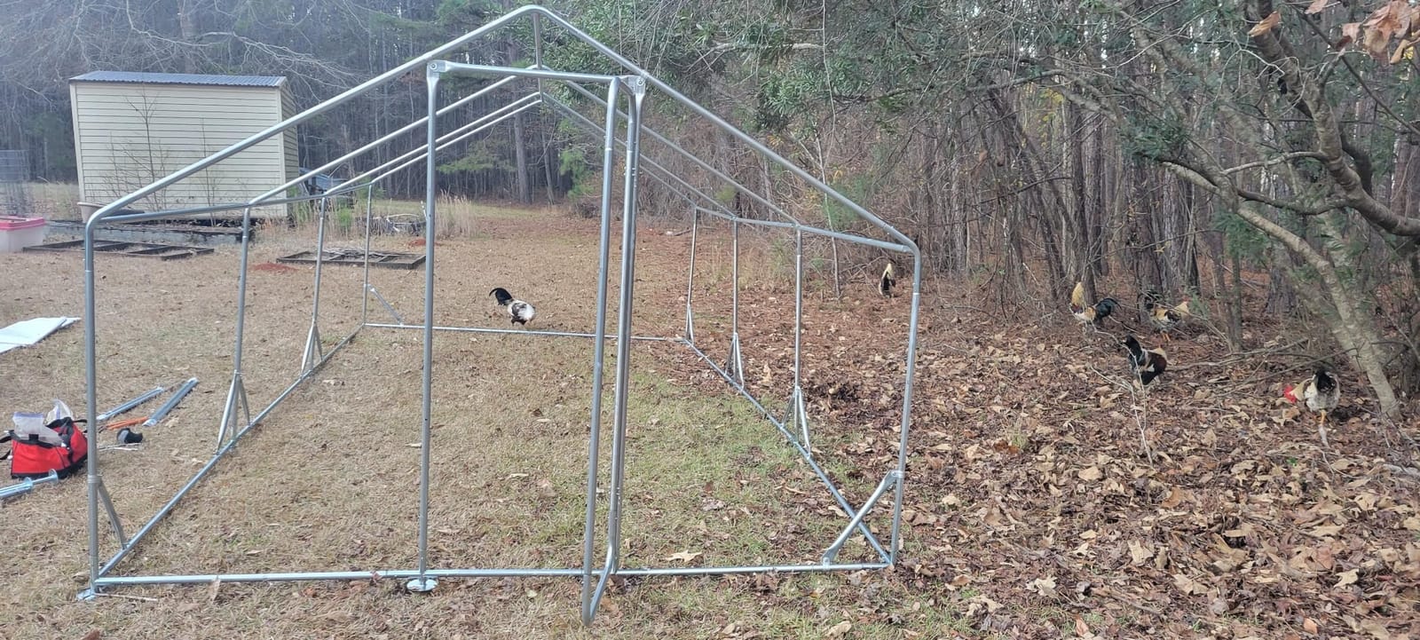 Quictent Large Metal Chicken Coop Run for 20+ Poultry w/Side Hardware Cloth customer photo 1
