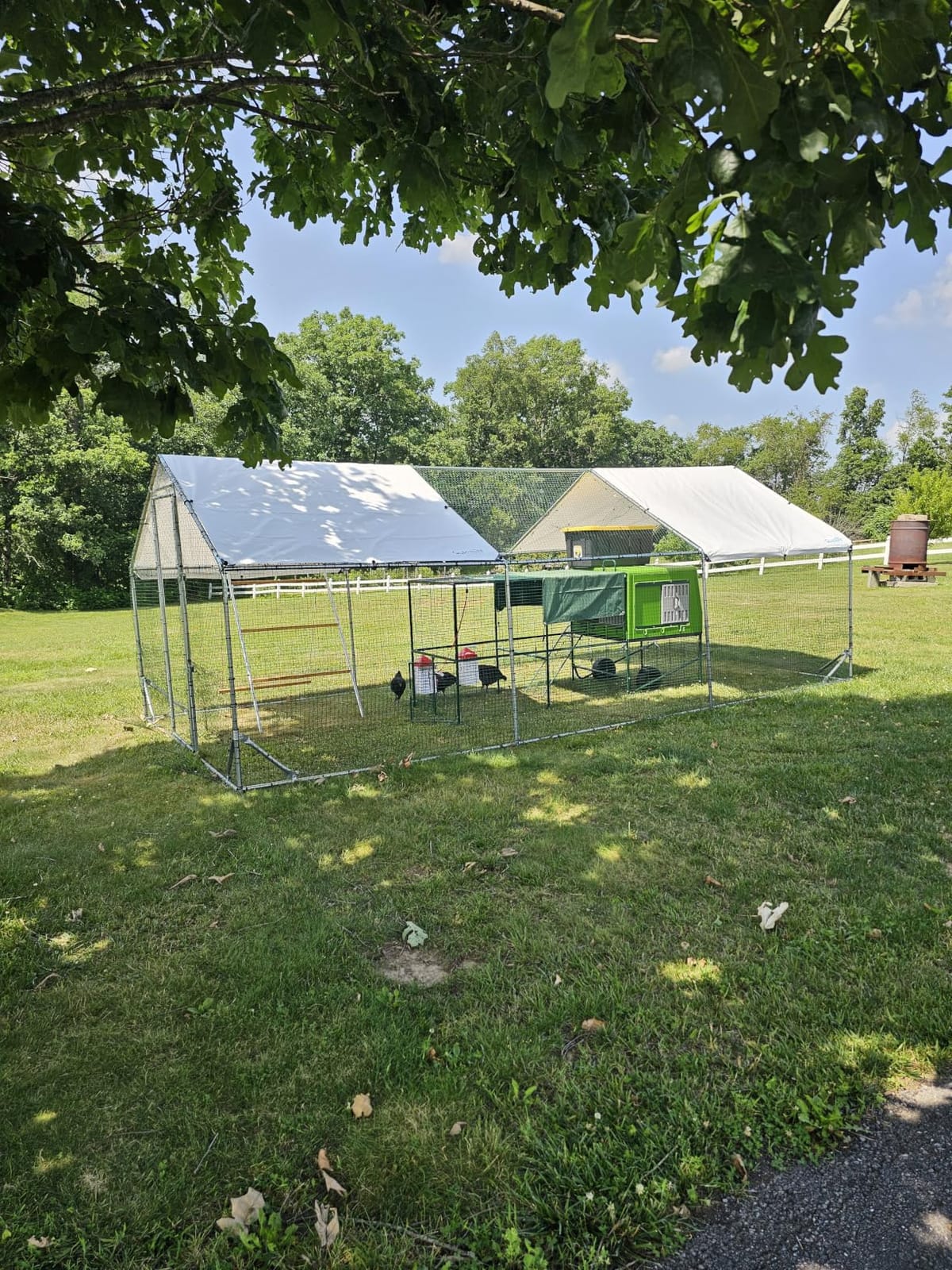 Quictent Large Metal Chicken Coop Run for 20+ Poultry w/Side Hardware Cloth customer photo 2