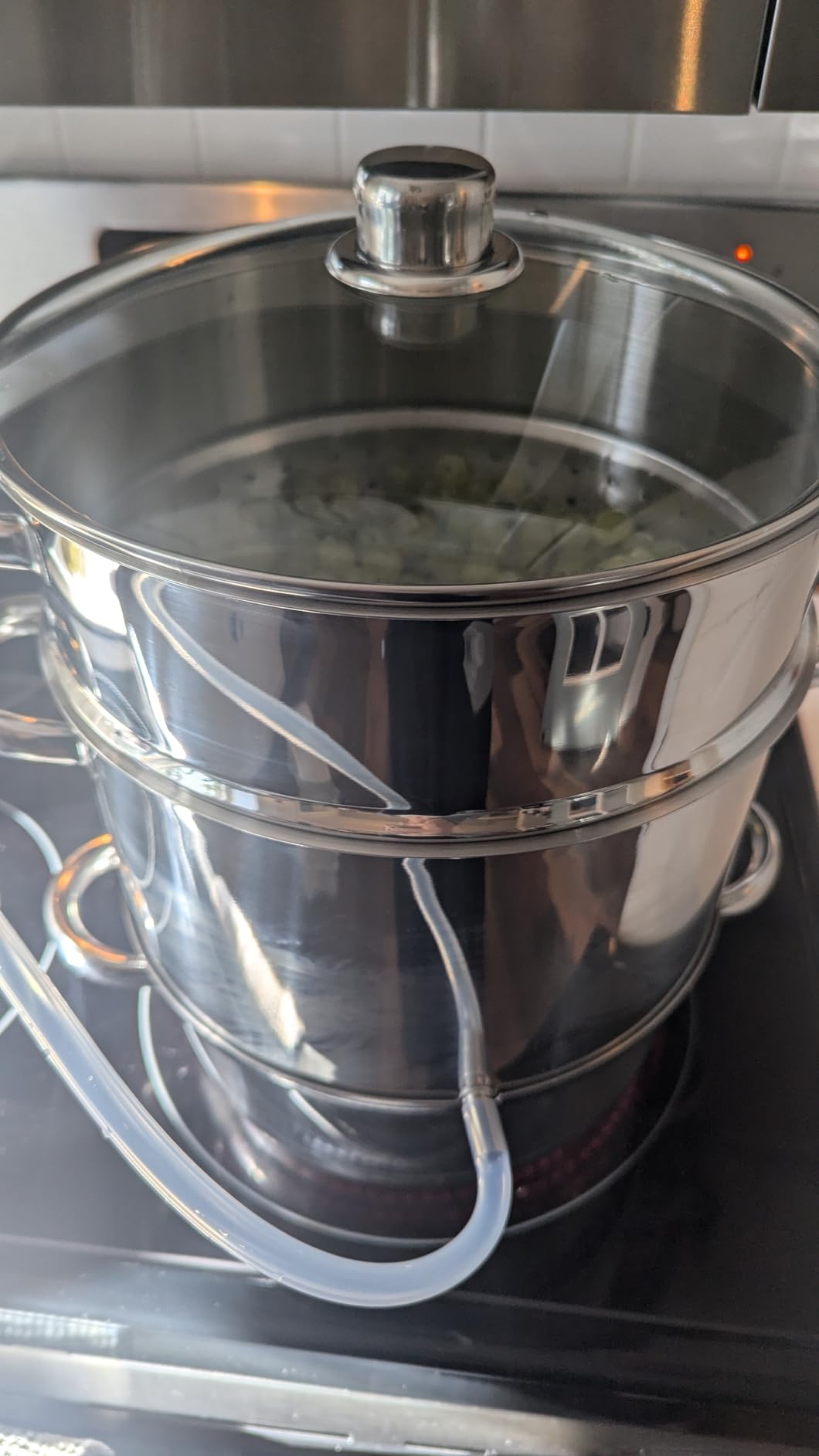 VIVOHOME Stainless Steel Steam Juicer for Canning Fruit and Grape Juice customer photo 2