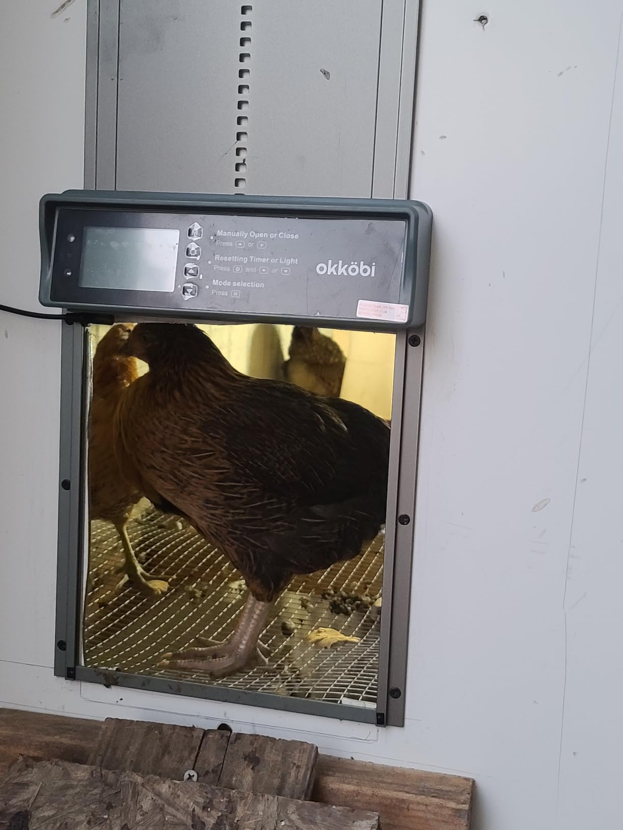Chicken Coop Door, Solar Powered Automatic with LCD Display, Light Sensor customer photo 1