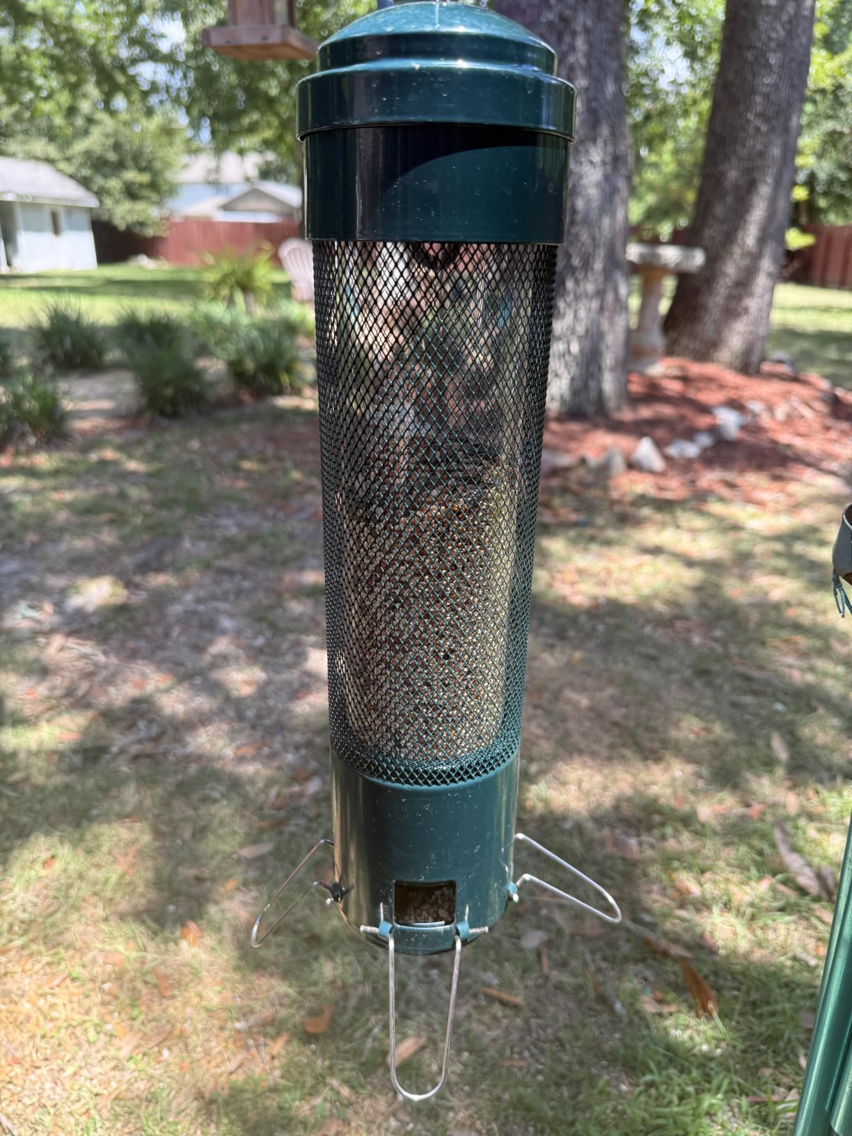 LCSEVEN Bird Feeders for Outdoors Squirrel Proof with Weight-Activated Perches, Hanging Bird Feeder for Outside, Metal Feeder for Wild Cardinal, Finch, Blue Jay, Chickadee, 3LB Seed Capacity, Green customer photo 1