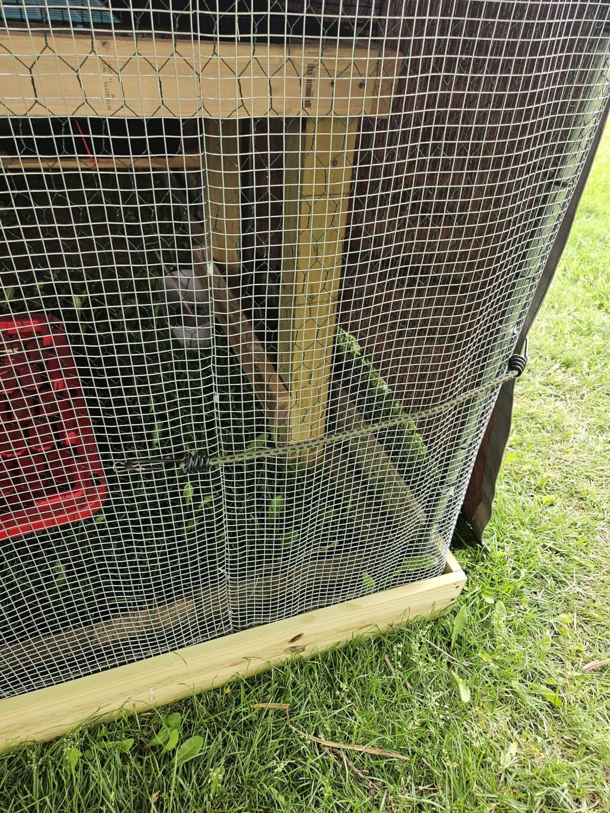 VEVOR Metal Chicken Coop, 6.56x6.56x6.56ft Large Walk-in Chicken Run with Cover, Spire Roof Hen House Enclosure with Security Lock, Outdoor Duck Rabbit Cage, Poultry Pen for Backyard, Farm, Yard customer photo 1