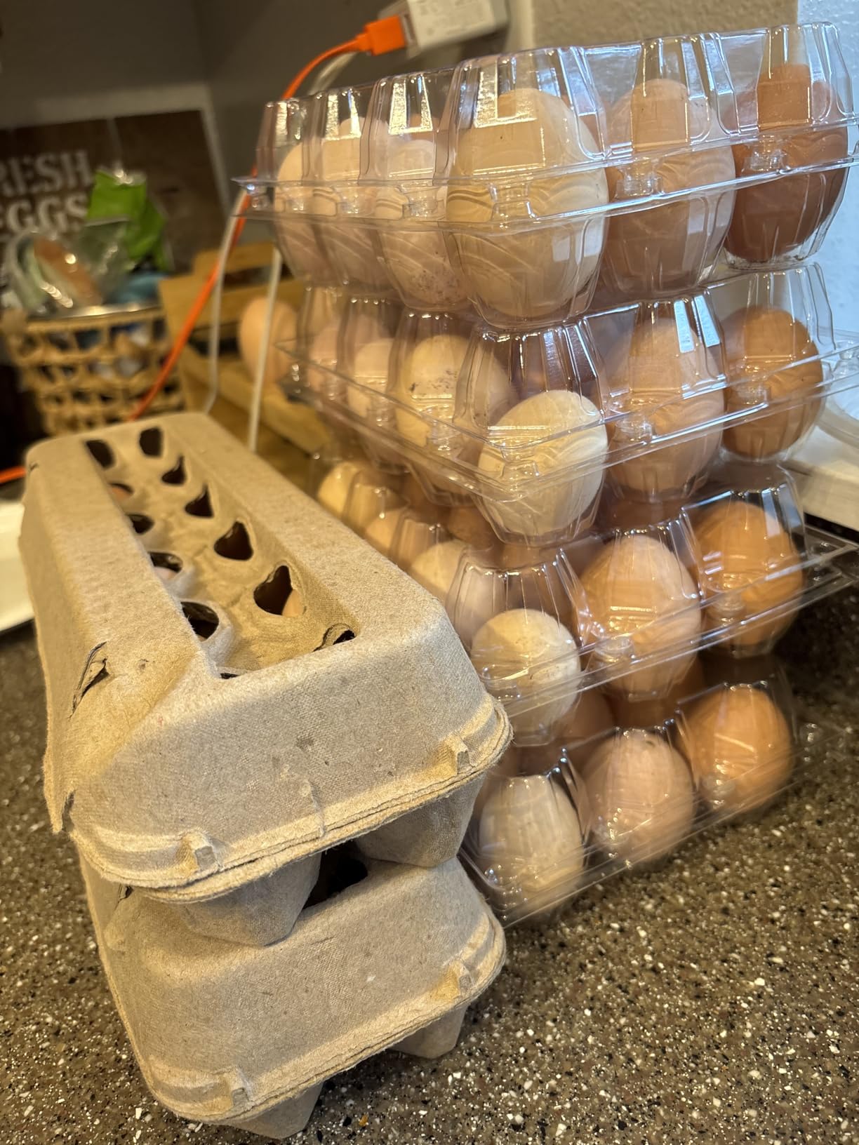 SINLUCESCE 100 Packs Egg Cartons Cheap Bulk, Plastic for 12 Eggs, Clear Egg Cartons 3 x 4 Grids, Perfect for Refrigerator Family Farm Commercial Business Market Display customer photo 2