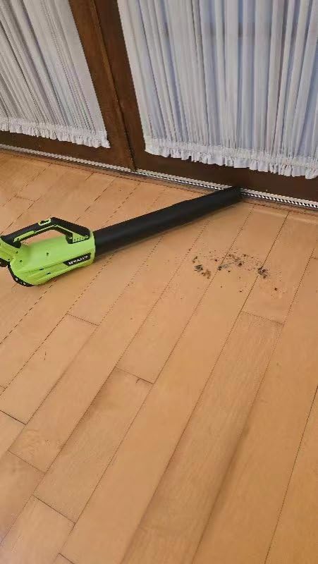 Leaf Blower Cordless, Leaf Blower with Battery and Charger - 2 Speed Modes, 2 Batteries, 20V Powerful Lightweight Electric Blowers for Blowing Leaves, Dust, Lawn Care, Patio Cleaning, Green customer photo 1