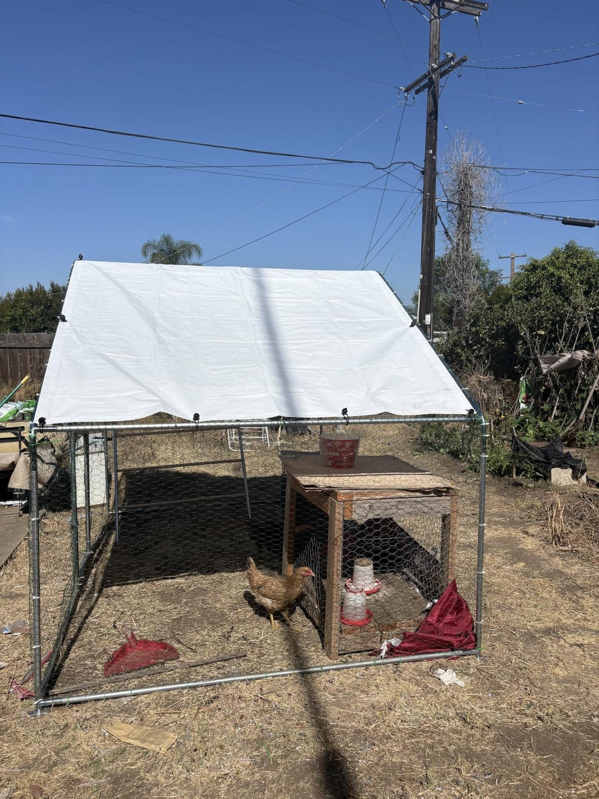 UDPATIO Large Metal Chicken Coop Walk in Run House Pen Galvanized Frame customer photo 1