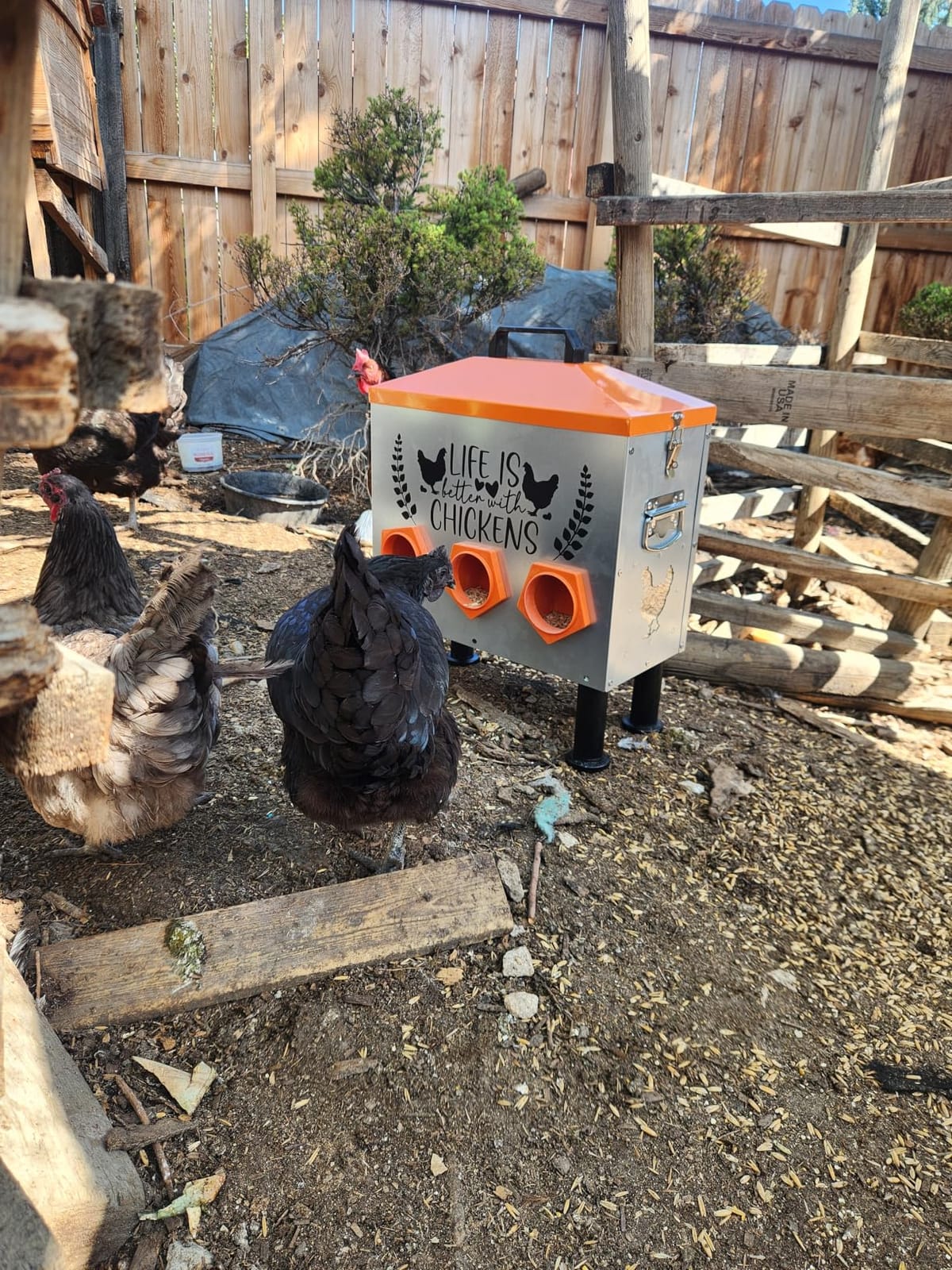 TGEYD 30 lb Metal Chicken Feeder, No-Waste Galvanized Feeder with 6 Feeding Ports, Adjustable Legs, Feed Level Window & Rainproof Roof Lid for Chickens, Ducks & Geese customer photo 1