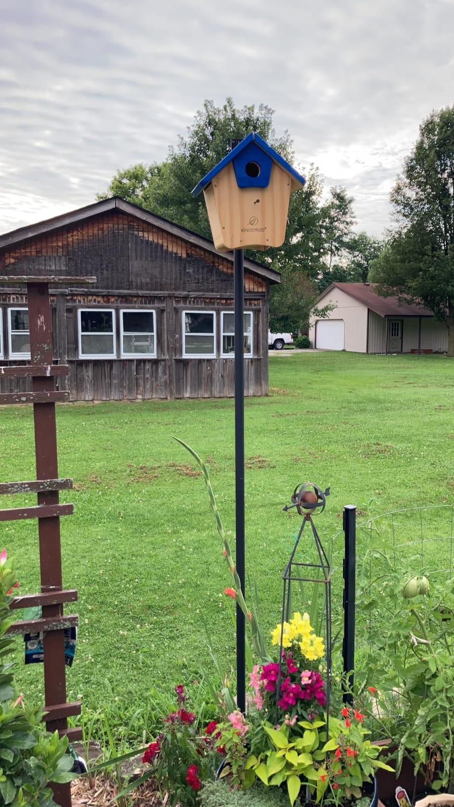 Kingsyard Squirrel Proof Hanging Bird Feeder for Outdoors customer photo 2